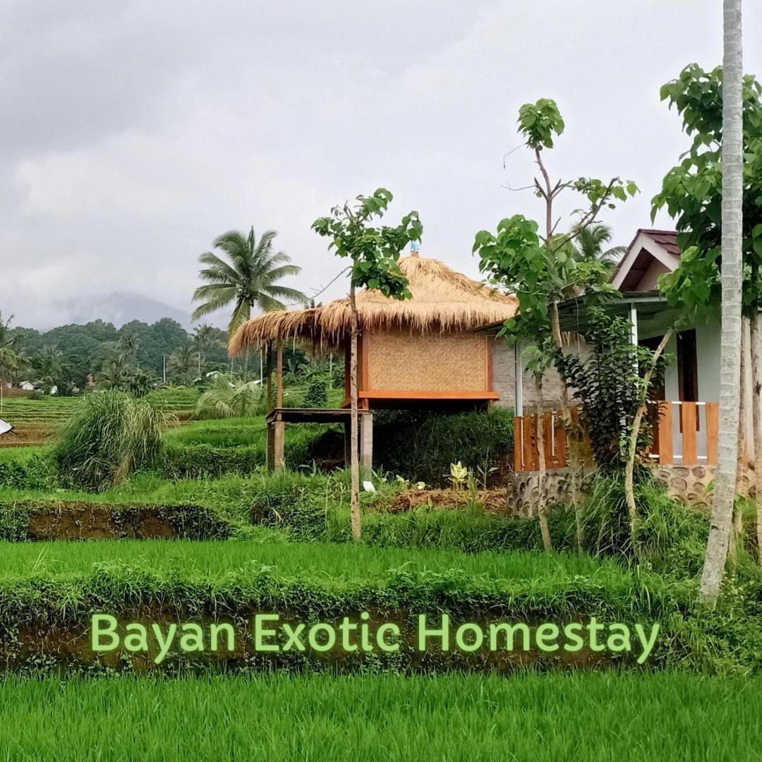 Bayan Exotic Homestay Senaru Eksteriør bilde